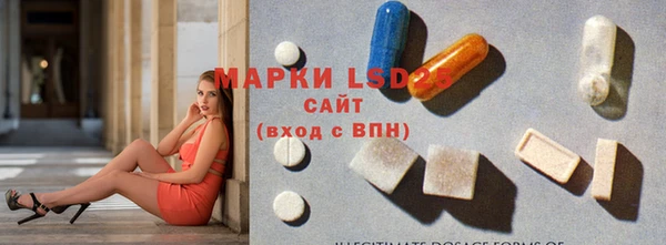 стаф Липки