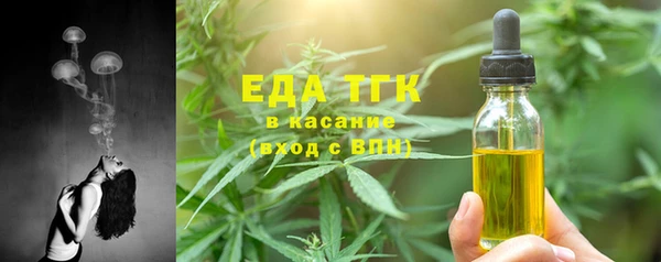 гашик Арсеньев