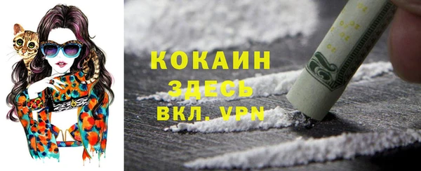 гашик Арсеньев